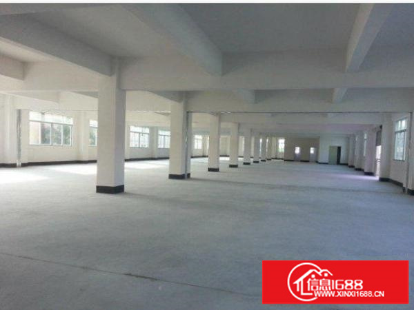 坪山沙湖1至3层标准独院7500平方直租