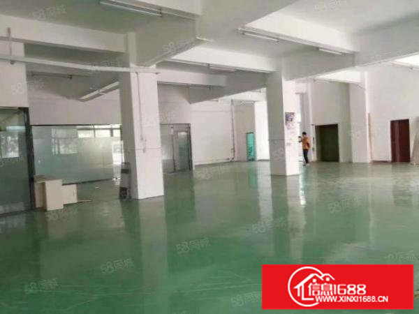 龙华布龙路一楼厂房650平出租，公摊小，带装修