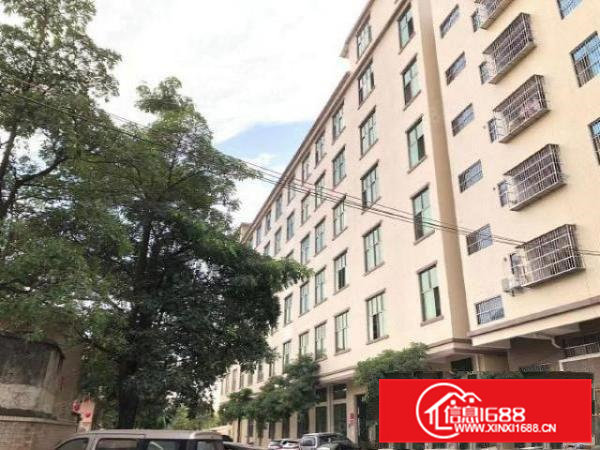 寮步百业工业园旁独院原房东带红本3楼1300平全新厂房出租