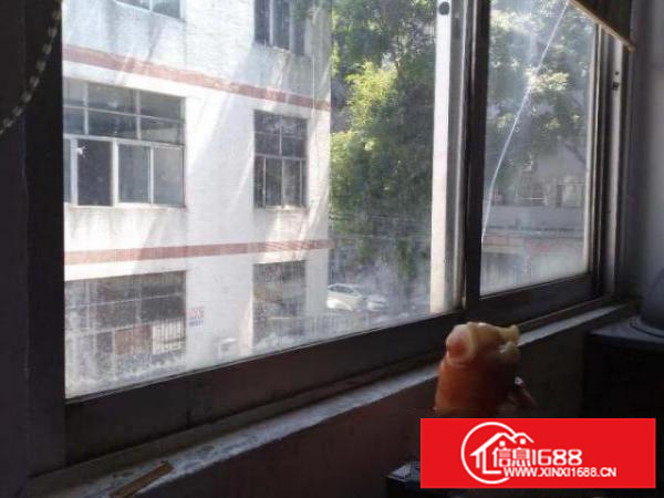 分租福永107独门独院2楼700-1400厂房