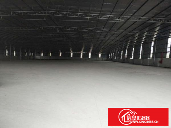 全新独院，里水便宜单一层，钢构厂房出租。