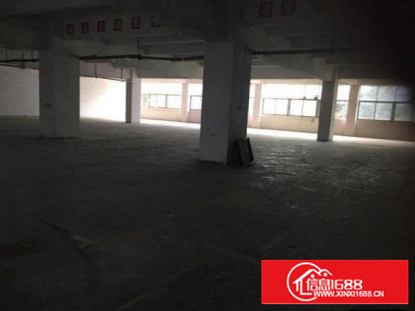 价钱低兴东地铁站附近71区留仙路厂房招租！！