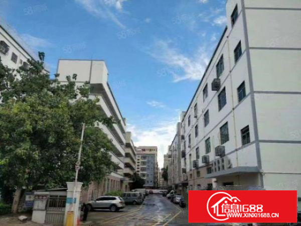 松岗塘下涌全新无尘车间带豪华装修1700平招租