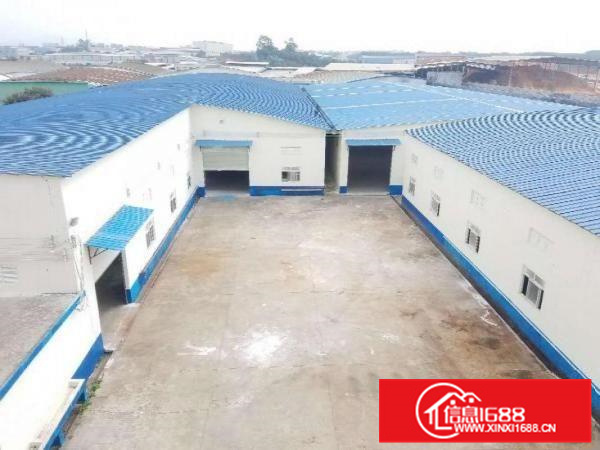 园洲独门独院单一层厂房。高8米，电315，周边无居民