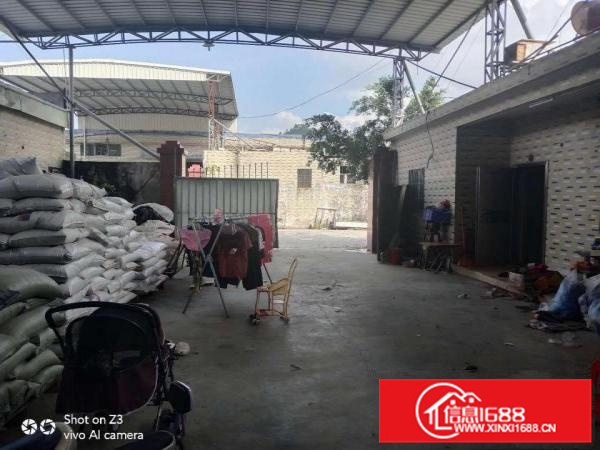新墟约场靠近深圳独院一楼厂房1200平米