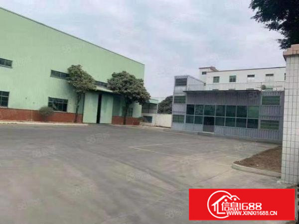 茶山镇原房东单一层钢构厂房3000平，滴水9米，空地1万平