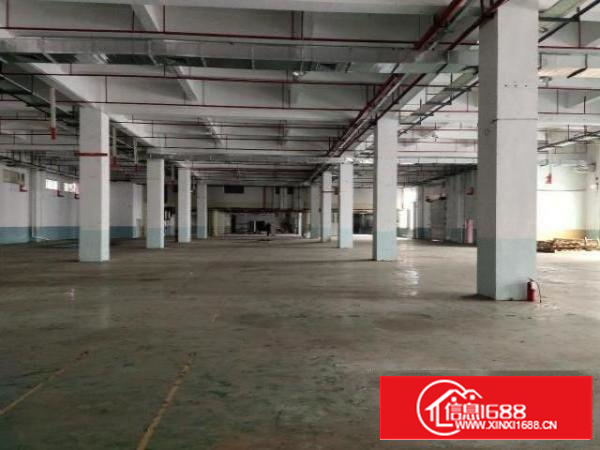 高埗镇新花园式厂房一楼高度到顶7.5米面积6000平方