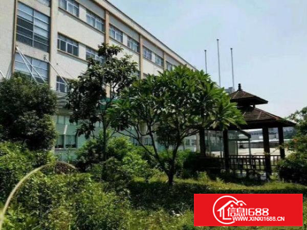 （可做污染）横沥镇山厦四海工业区原房东厂房590平招租