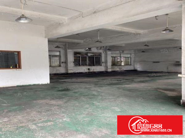 非中介，石碣四甲四兴路独院厂房