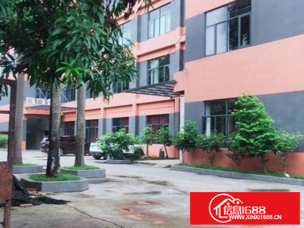 新出！平湖富民工业区村委独院厂房6000平方出租，可办环评！