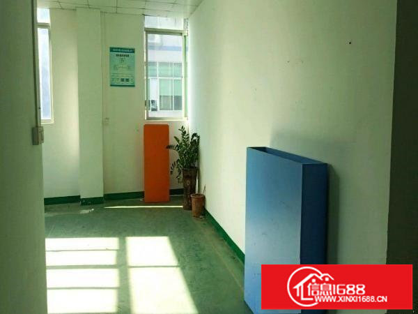 坂田杨美原房东1500平厂房出租带装修无转让费