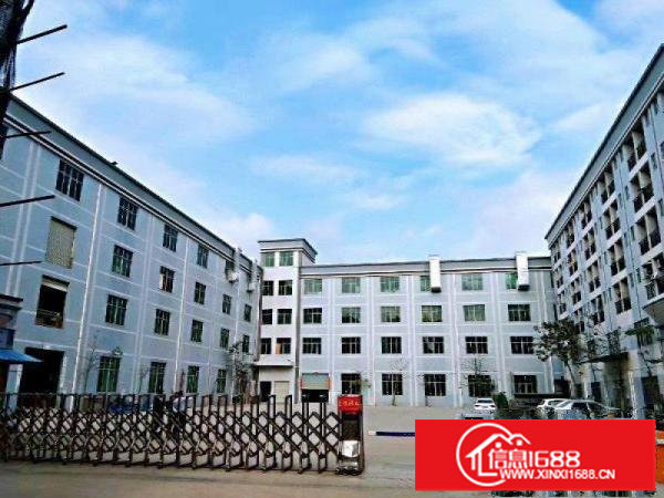 三月特价！六约埔厦工业区新出365平办公仓库，可进大车