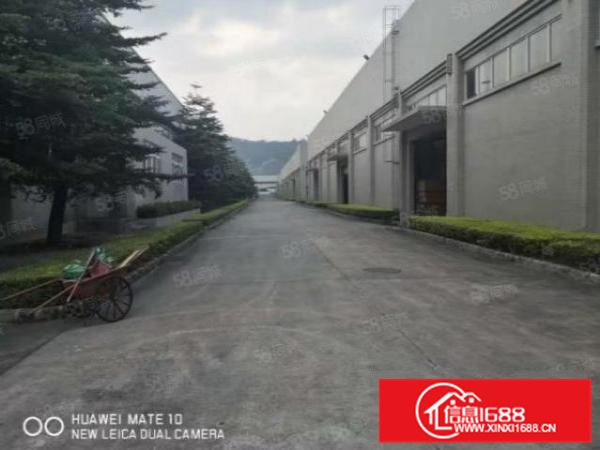 南庄镇新出钢构厂房8000平方高度12可办环评（可分租）