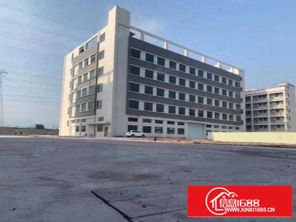 东莞石排镇原房东出租3楼2000平方带装修办公室没可分租一半