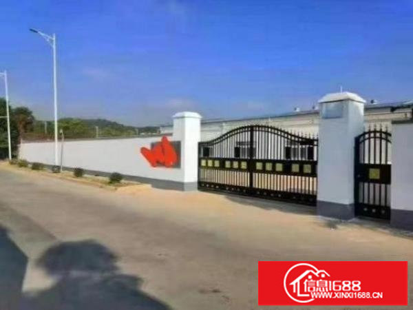 黎光钢构750平方业主直租