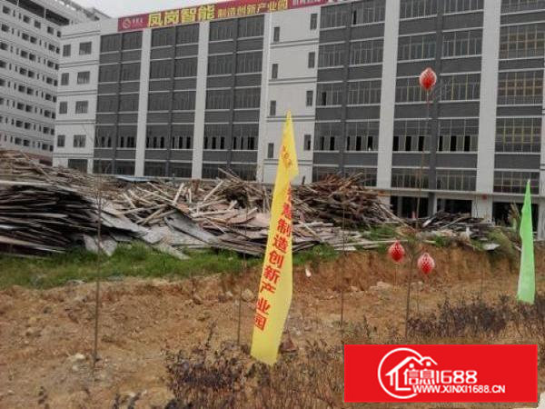 凤岗大型产业园厂房出租！小分租1000平米