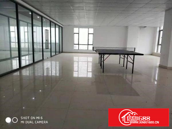 长安沙头电子厂房1000平厂房出租低至12元不堵车