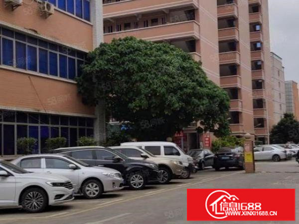 丹竹头高新技术开发区200至2600平方招租可分，有货梯