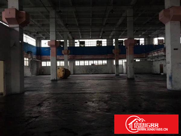 清溪大型工业园标准单一层2600平，高12米，带牛角现成水电