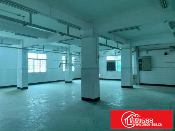 屋主直租不是中介带电梯600平/层