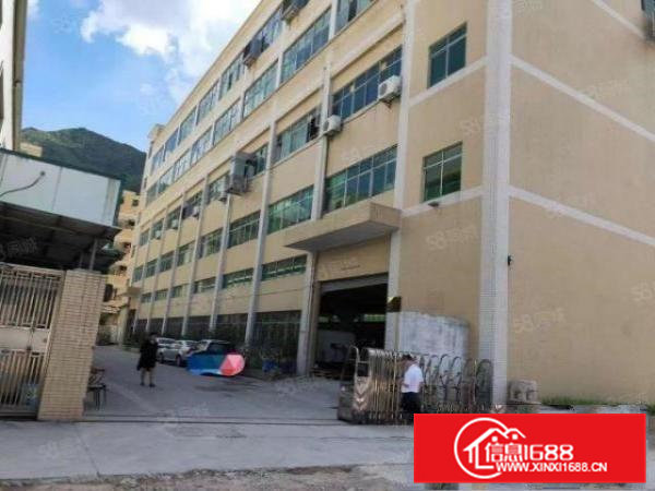 租18元清溪一楼6.5米高6500平方原房东独院厂房出租