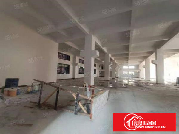 塘厦镇凤凰岗新出全新独院5570平方，楼上承重1.5吨带牛腿