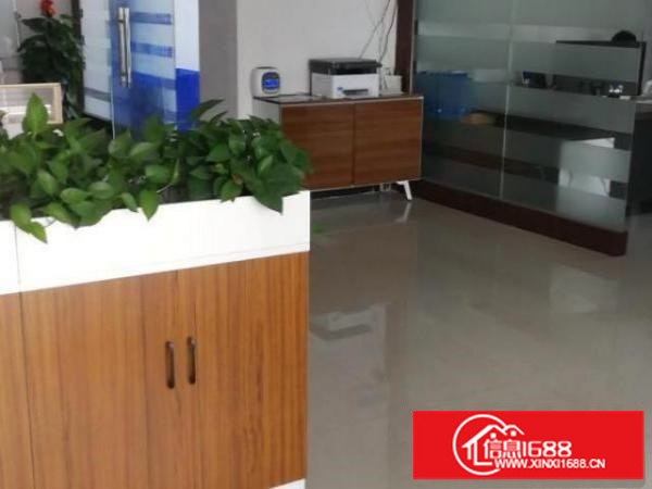 松岗碧头厂房分租，形象好、停车位充足，办公敞亮