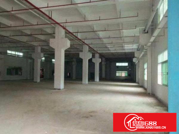 火热推出凤岗镇全新厂房52000平上市公司形象