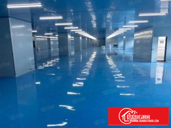 寮步大进工业区全新整层5000平方米无尘车间出租拎包入住