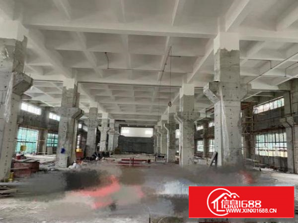 东莞茶山工业区全新原房东厂房出租