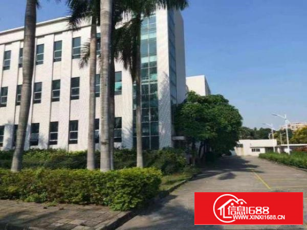 万江一楼重工类厂房1000平方出租一楼带牛角行车租金便宜