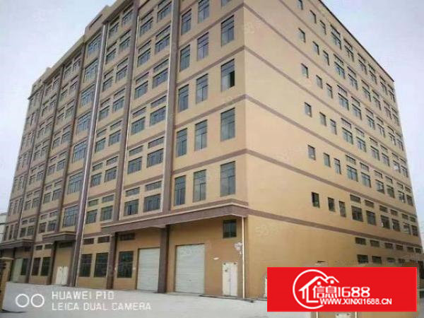 沙头楼上无尘车间厂房出租1000平方