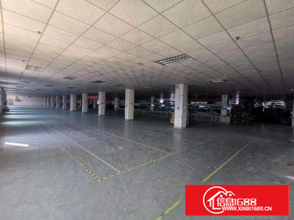 实拍图！！独栋标准厂房300平方米起租，优势：一楼，楼上分租