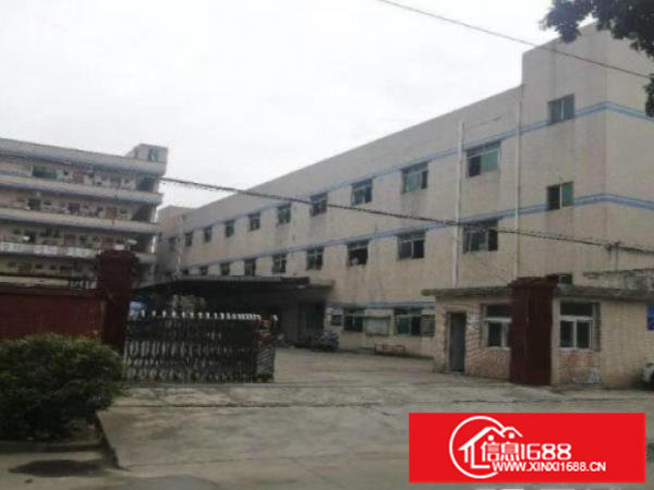 坪山原房东红本独院4800平可办环评500平可分组