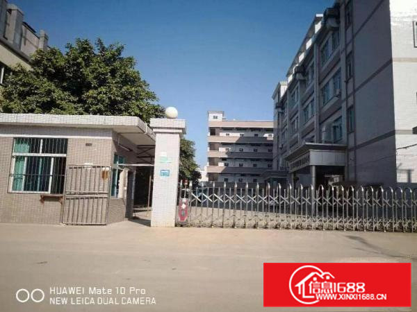 常平新出9成新花园标准厂房5000平宿舍1000