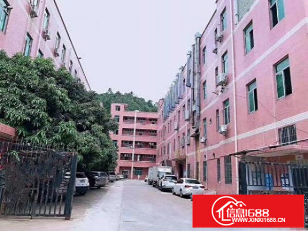 龙岗横岗花园式独门独院1-4层8500平方招租