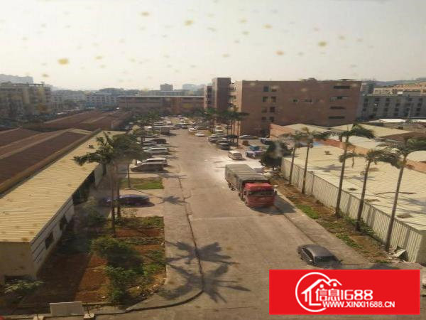 靠山边，凤岗唯一可做喷油的小面积厂房350