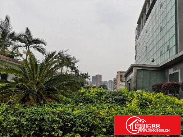 观澜章阁.观光路旁带装修.现成喷淋.三楼650平方厂房出租