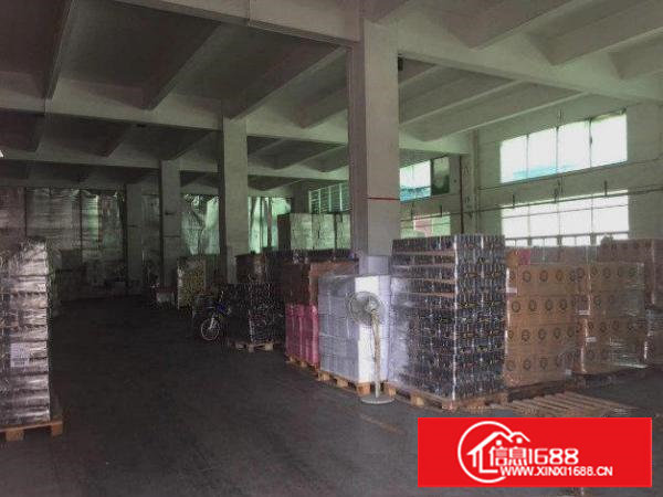 塘厦桥陇 靠深圳和凤岗 标准一楼厂房 2000平方米 可分租