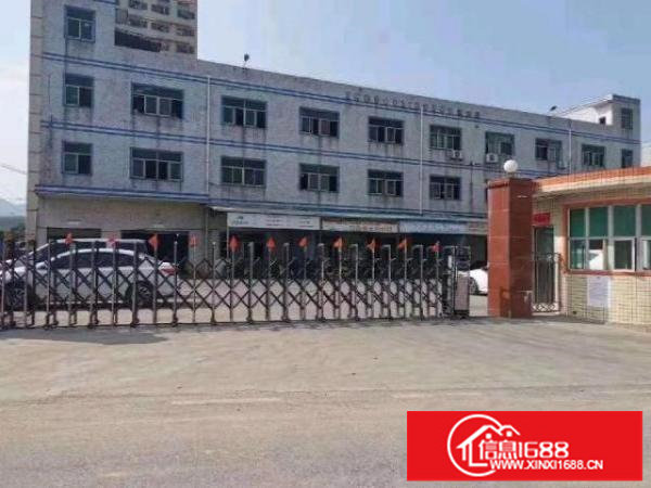 福永凤凰国道边楼上1000平，精装修，无需转让费，