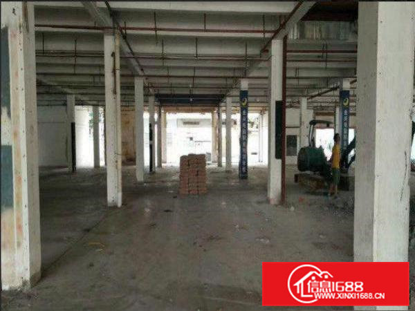 常平靠大朗新出一楼3000平方，可分租.有办公室