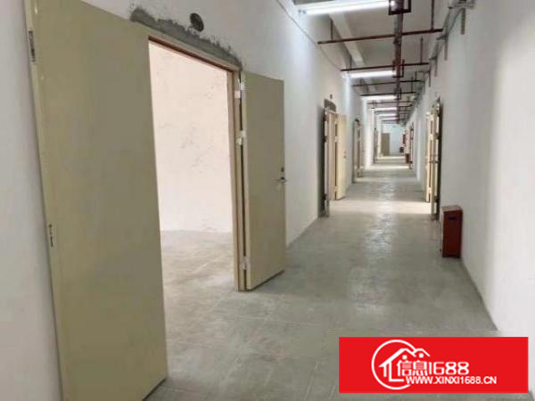 业主大康96至500平方厂房出租