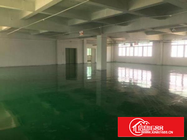 沙井新桥第三工业区一楼600平二楼520平无转让费厂房出