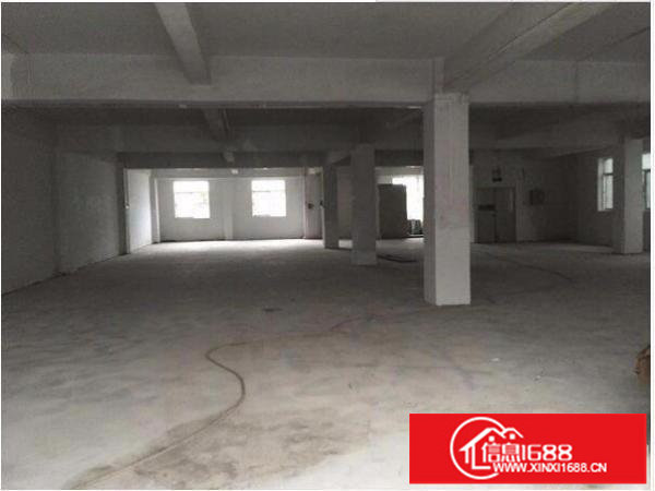 坂田物流园一楼3000可以分350平