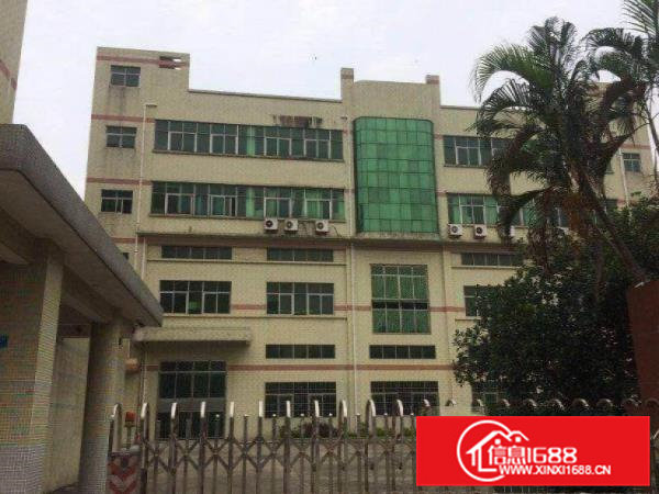 东坑新门楼新出一楼精装修500平方厂房招租