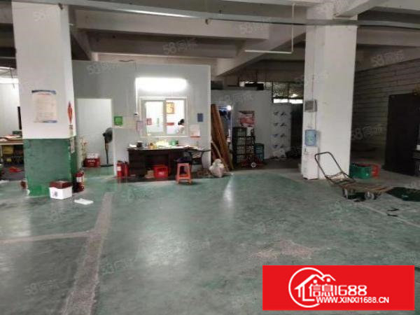 龙华大浪商业中心附近新出1楼原房东1300平带装修厂房出租