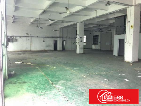 田心业主自建厂房一楼整层800平带阁楼