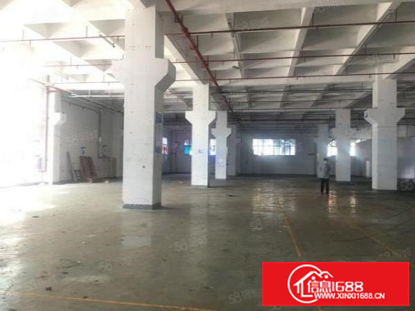 清溪大浦工业区2000平原房东独院一楼高7米仓库厂房出租分租