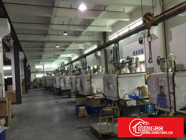 坪山鸳鸯围新出一楼标准厂房1000平方带地坪漆