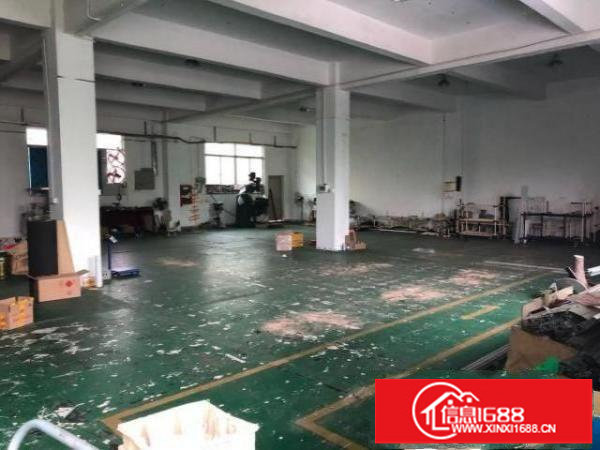 坪山东纵路边新出厂房一楼带装修850平米交通便利